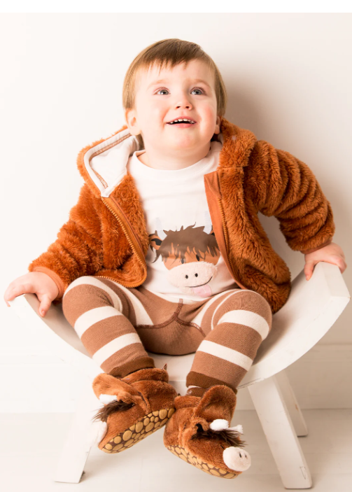 Neutral Highland Cow Hoodie