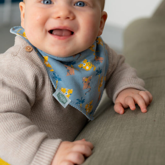 Savanna Animals Bib Set