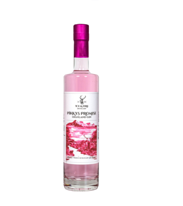 Pinkys Promise Gin