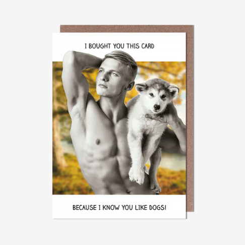 I Know You Like Dogs General Card