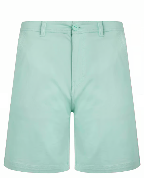 Rayburn Organic Cotton Flat Front Shorts - Seafoam
