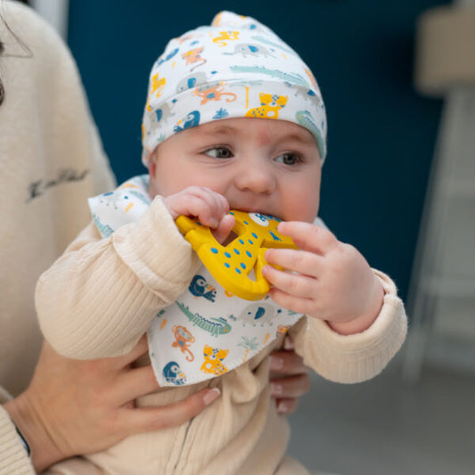 Savanna Animals Dribble Bib