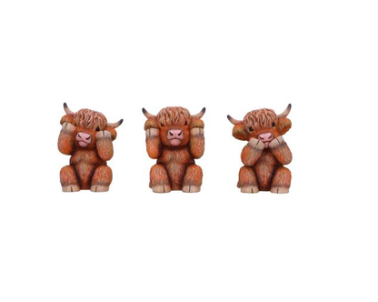 Three Wise Highland Cows