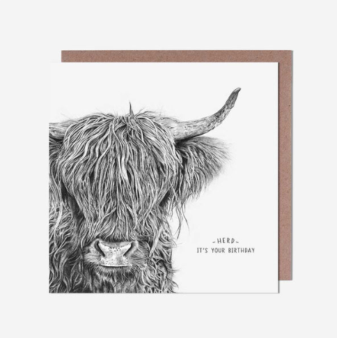 Highland Coo Pencil Drawing Birthday Card