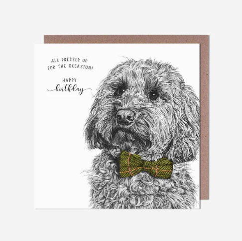 Dressed Up For The Occasion Birthday Card