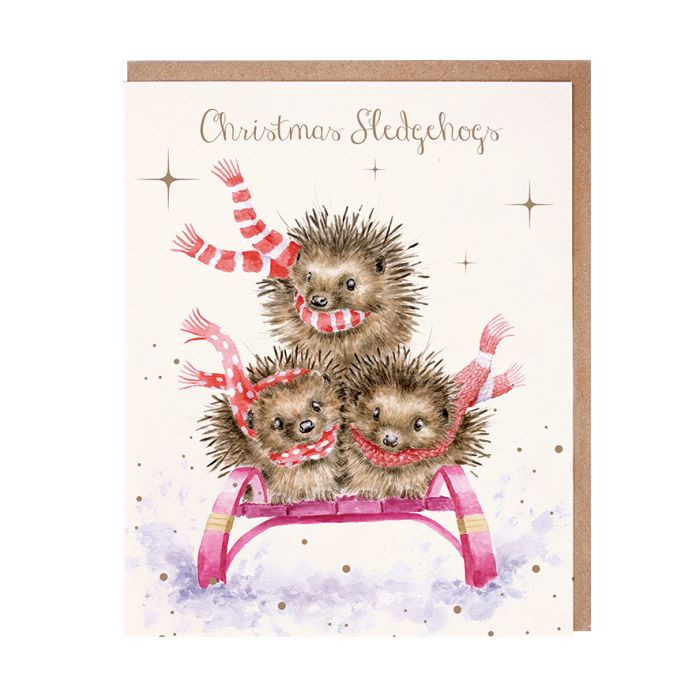 'Sledgehogs' Hedgehog Christmas Card Pack