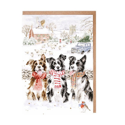 'While Shepherds Watched' Dog Christmas Card Pack
