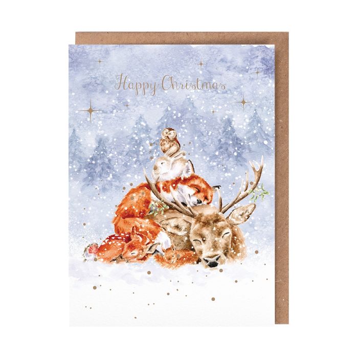 'Comfort and Joy' Animal Christmas Card Pack