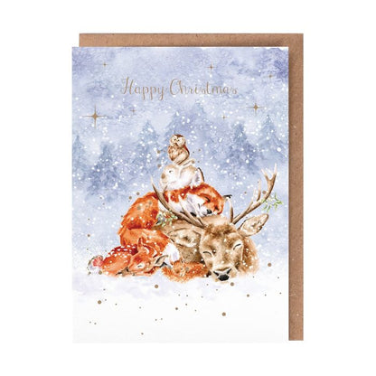 'Comfort and Joy' Animal Christmas Card Pack