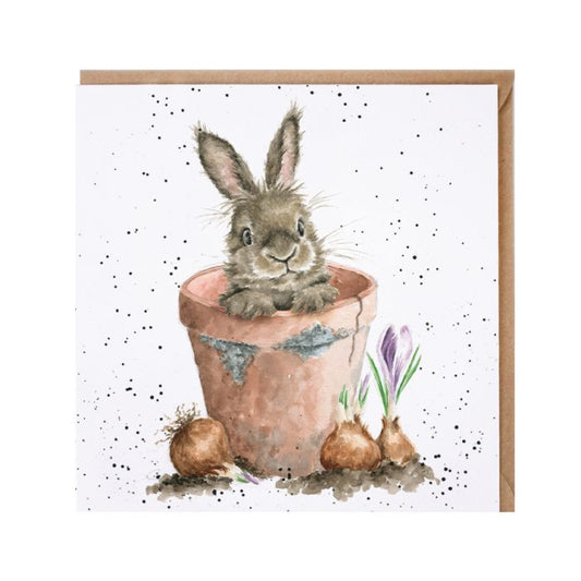 The Flower Pot Rabbit Card