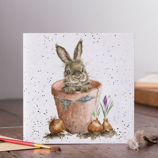 The Flower Pot Rabbit Card