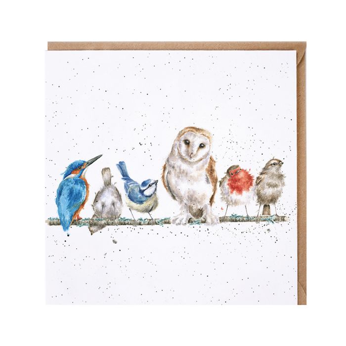 'The Variety of Life' Bird Card