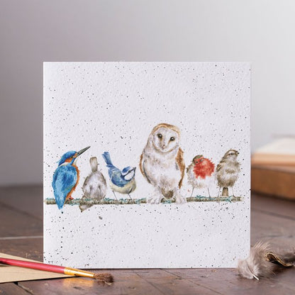 'The Variety of Life' Bird Card
