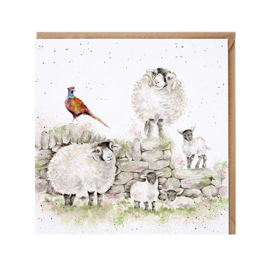 Green Pastures Sheep Card
