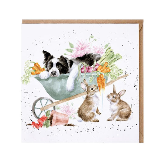 Sleeping On The Job Collie & Rabbit Card