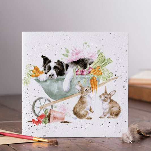 Sleeping On The Job Collie & Rabbit Card