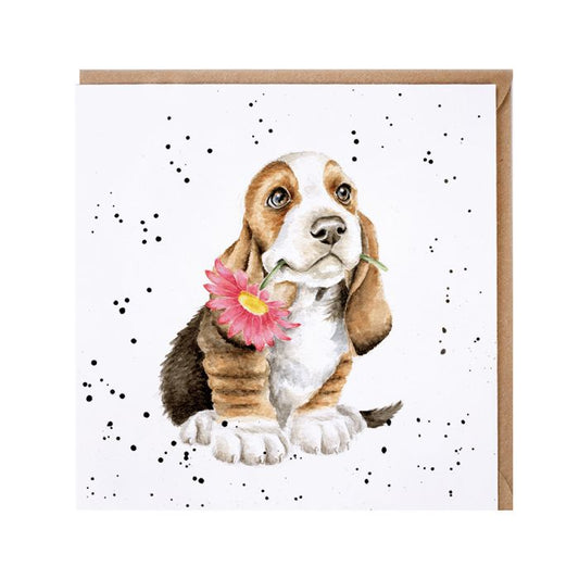 Just For You Basset Hound Card