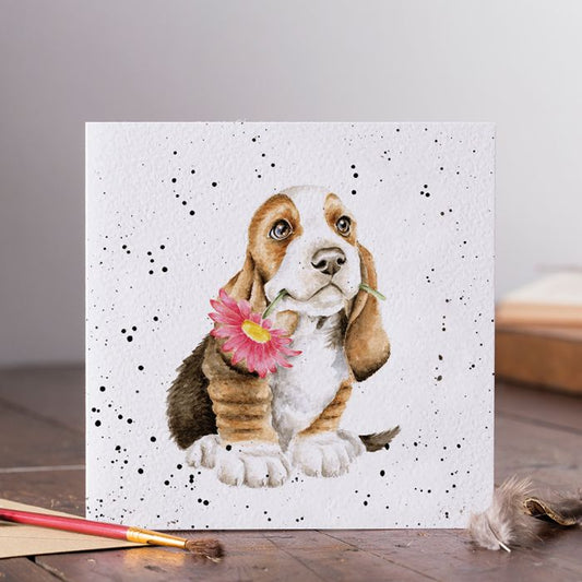 Just For You Basset Hound Card