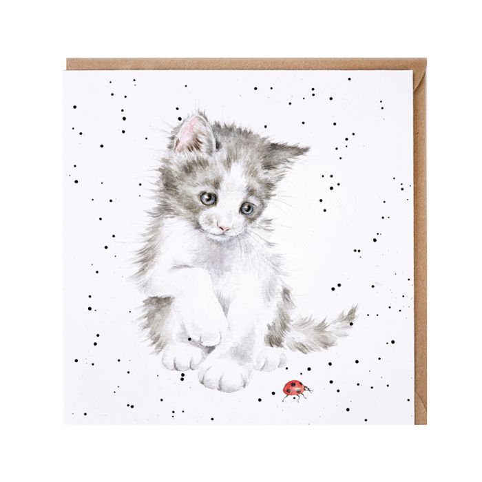 'Ladybird' Cat Card
