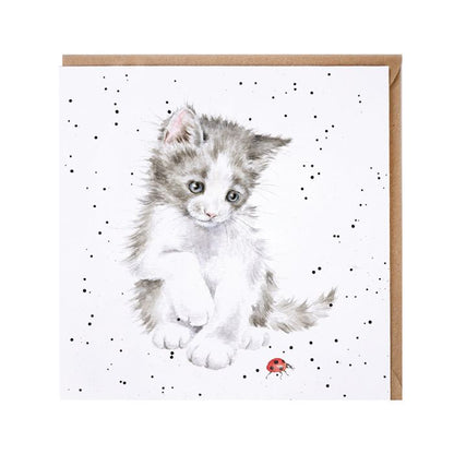 'Ladybird' Cat Card