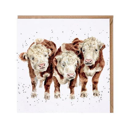 'Paddy, Percy and Pedro' Cow Card