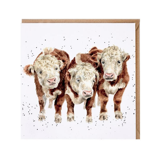 'Paddy, Percy and Pedro' Cow Card