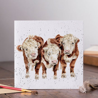 'Paddy, Percy and Pedro' Cow Card
