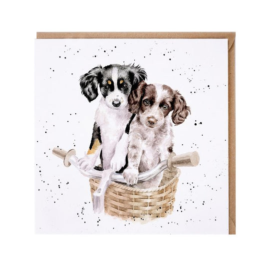 Paws & Pedals Dog Card