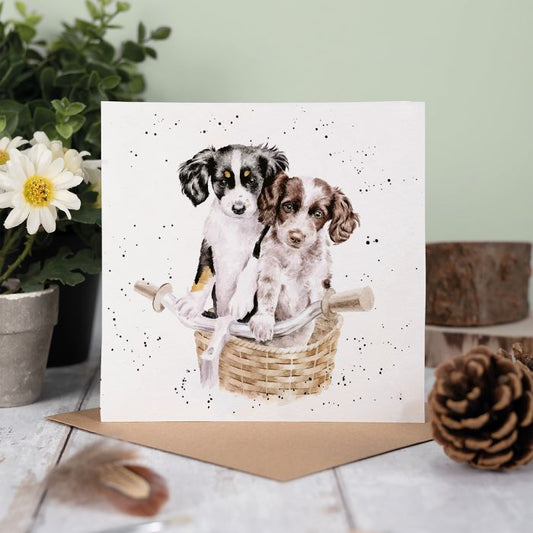 Paws & Pedals Dog Card