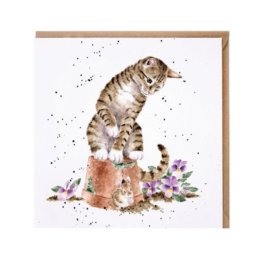 Hide & Squeak Cat Card