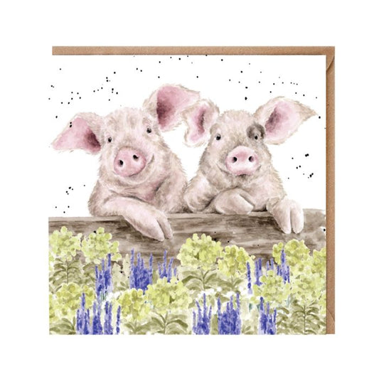 Nosy Neigh-boars Pig Card