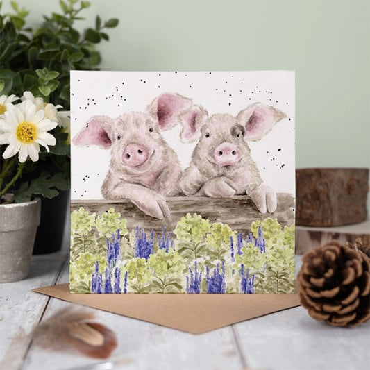 Nosy Neigh-boars Pig Card