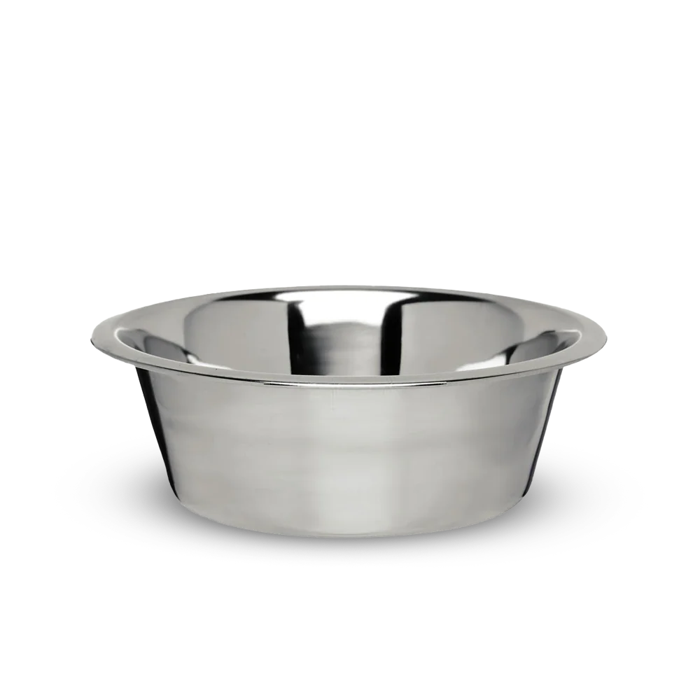 Dog drinking bowl