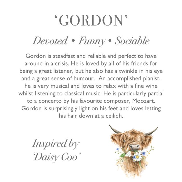 'Gordon' Highland Cow Character