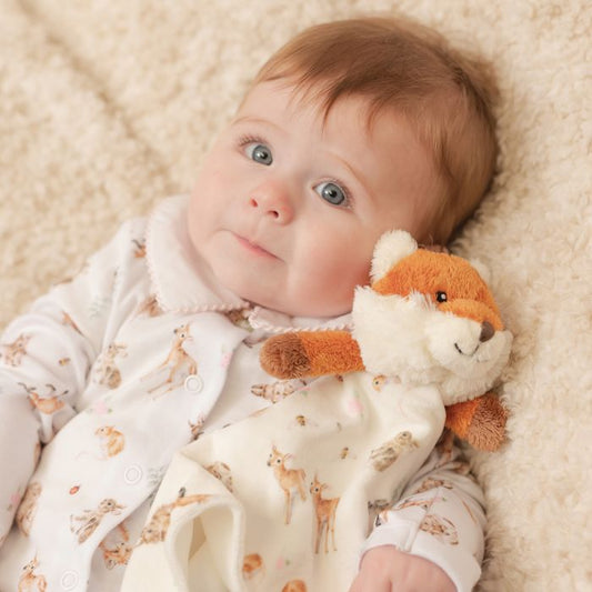 Little Forest Fox Plush Comforter