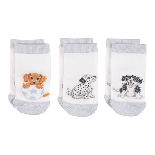 Little Paws Dog Baby Socks