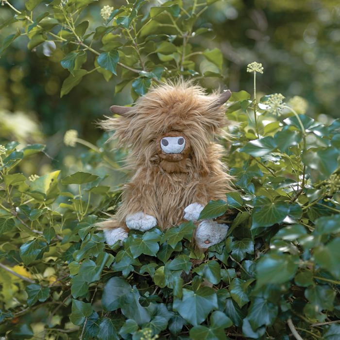 'Gordon' Highland Cow Character