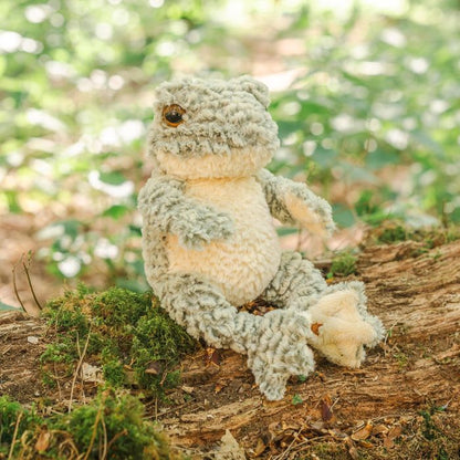 'Elliott' Frog Character