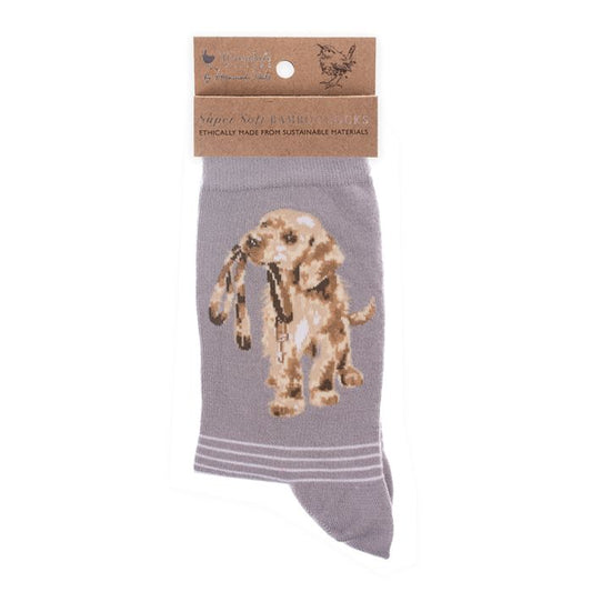 'Hopeful' Labrador Socks