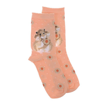 'Diet Starts Tomorrow' Hamster Socks