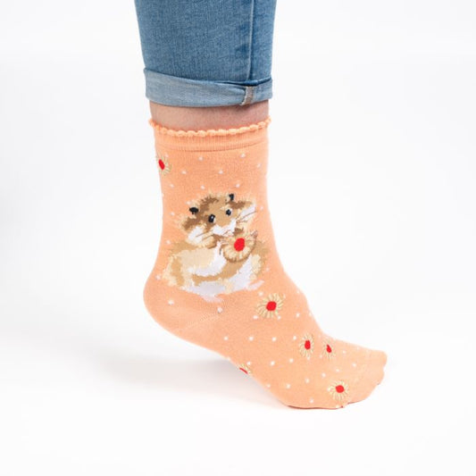 'Diet Starts Tomorrow' Hamster Socks
