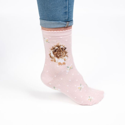 'Grinny Pig' Guinea Pig Socks