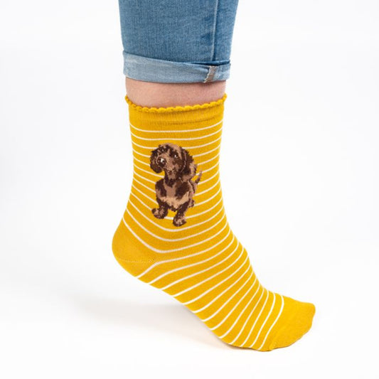 Little One Dachshund Socks