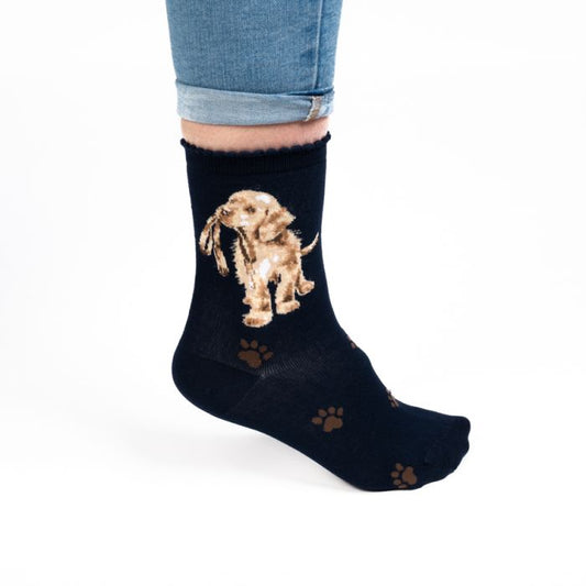 Hopeful Labrador Socks
