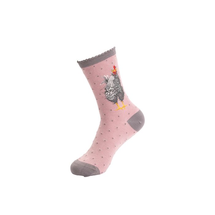 'Curious Hen' Chicken Socks