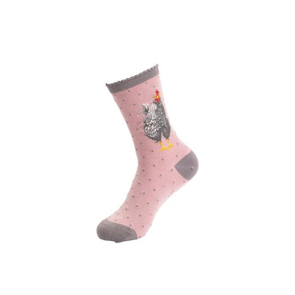 'Curious Hen' Chicken Socks