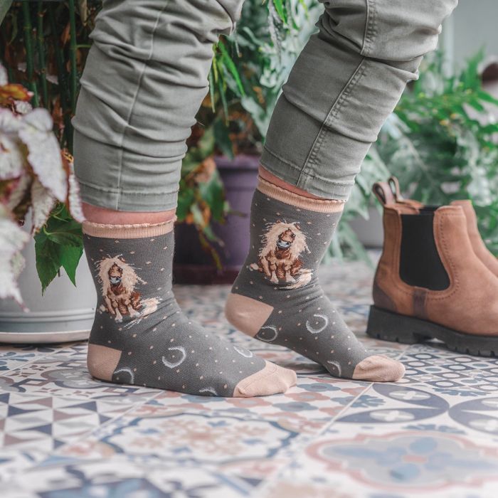 'Gloria' Horse Socks