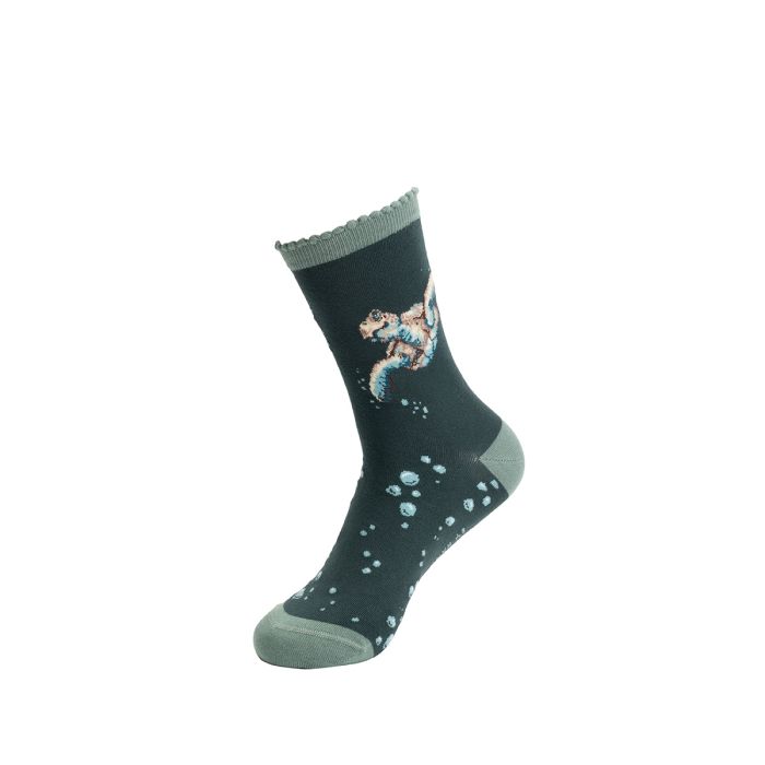 'Swimming School' Turtle Socks