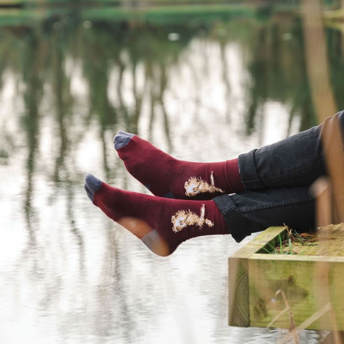 'The Hare' Hare Men's Socks