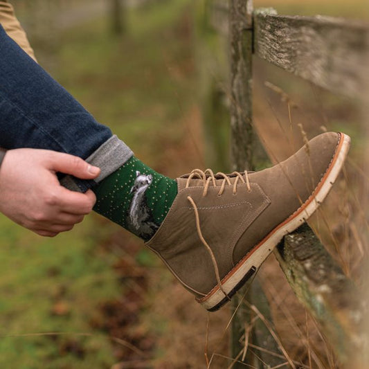 'The Country Gent' Badger Men's Socks